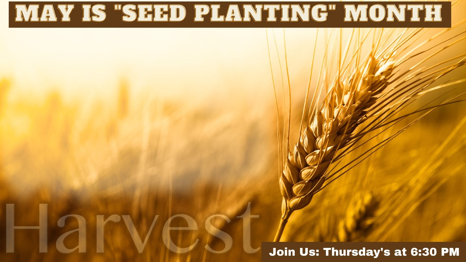 May is Seed planting Month at Saint Phillips