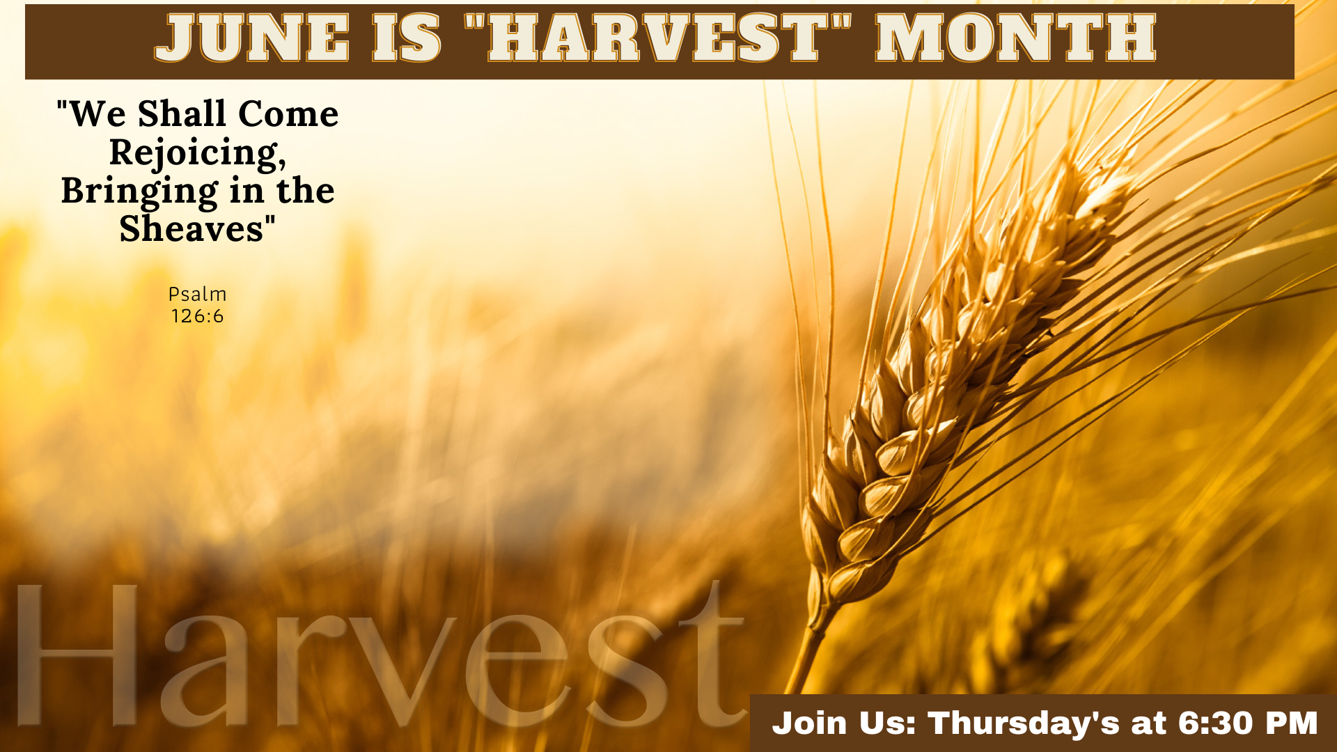 June 2021_Harvest